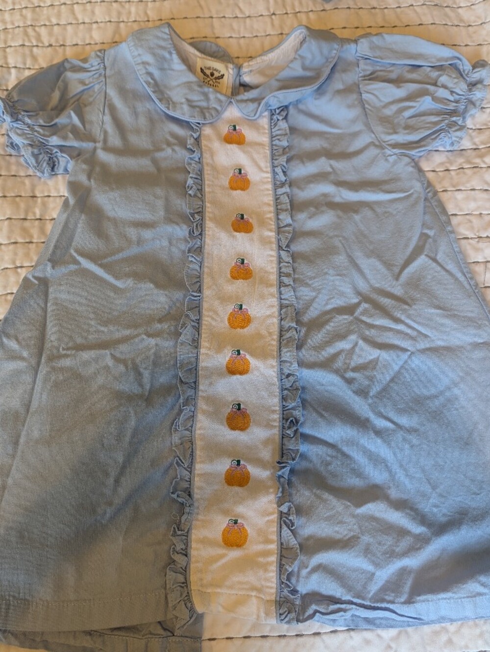 The Oaks Apparel Light Blue Pumpkin Embroidered Girls' Dress